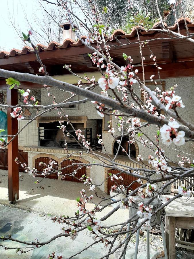 Iro'S House Διαμέρισμα Χανιά Εξωτερικό φωτογραφία